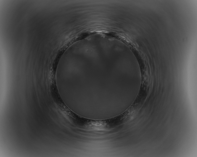 X0000086880659200704161222