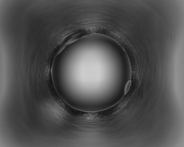 X0000086880660200704161222