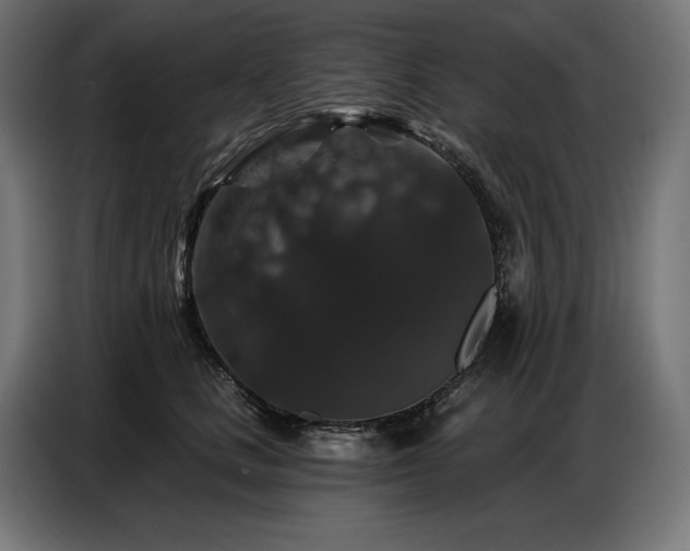 X0000086880661200704161222