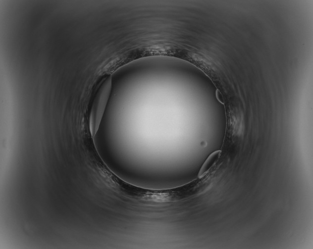 X0000086880665200704161222