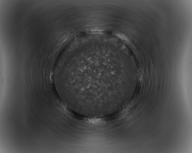 X0000086880669200704161222