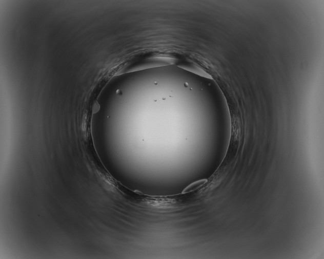 X0000086880670200704161222