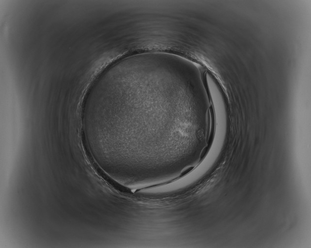 X0000086880673200704161222