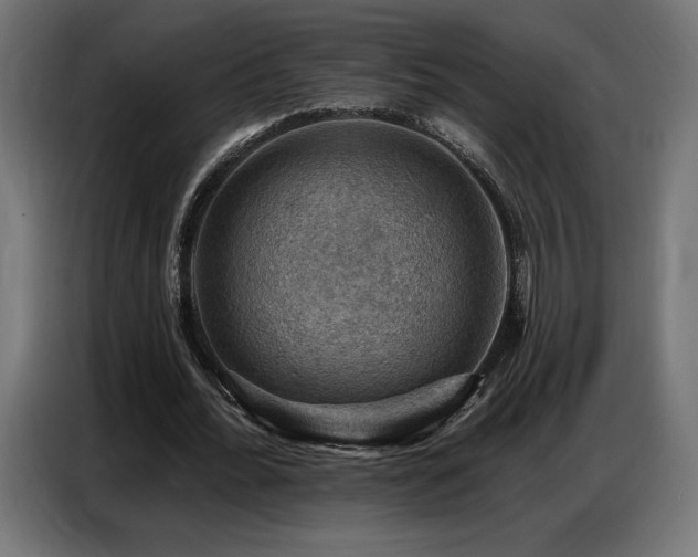 X0000086880676200704161222