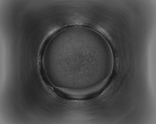 X0000086880680200704161221