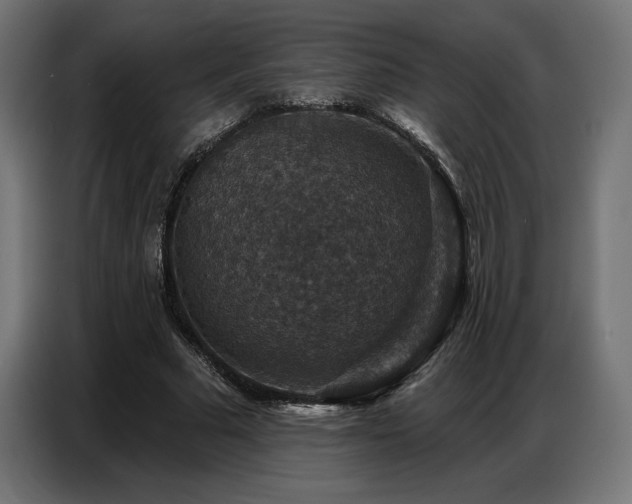 X0000086880681200704161221