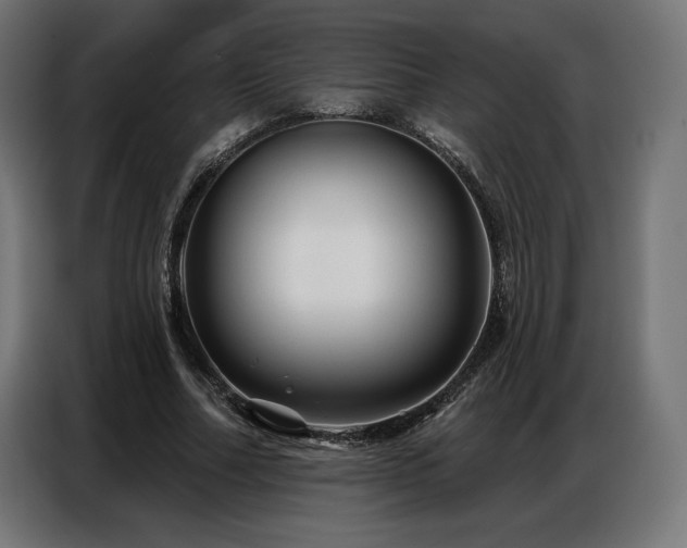 X0000086880682200704161221