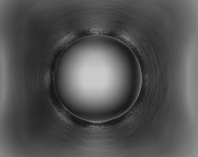 X0000086880690200704161221