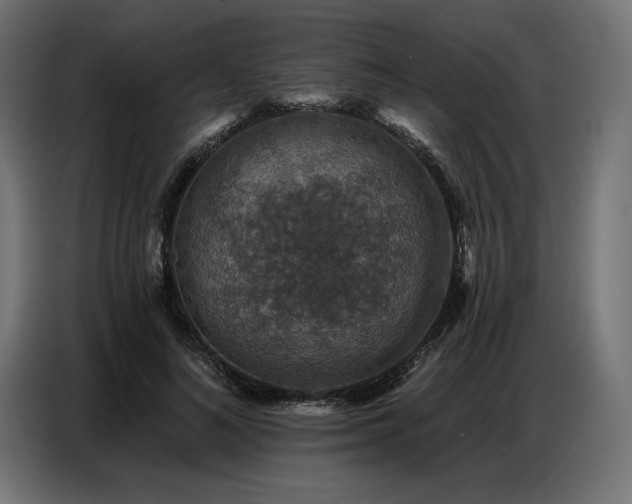 X0000086880692200704161221