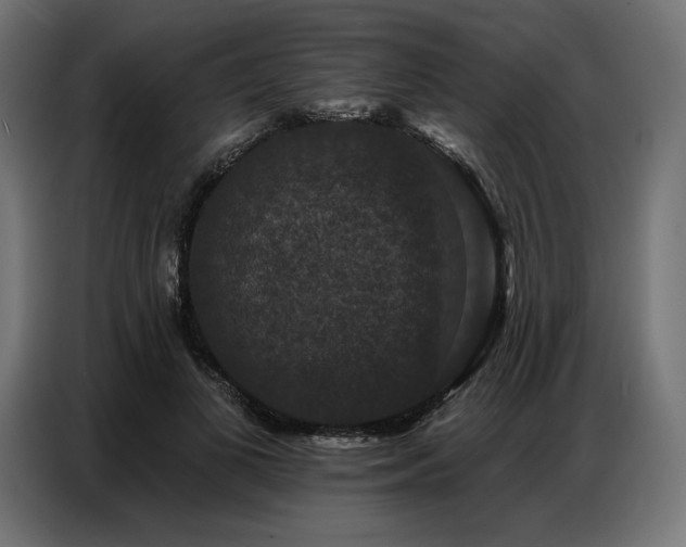 X0000086880693200704161221