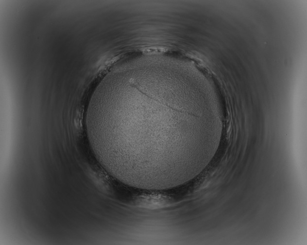 X0000086880695200704161221