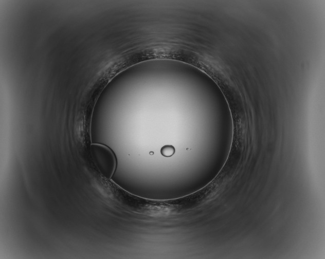 X0000086880698200704161221