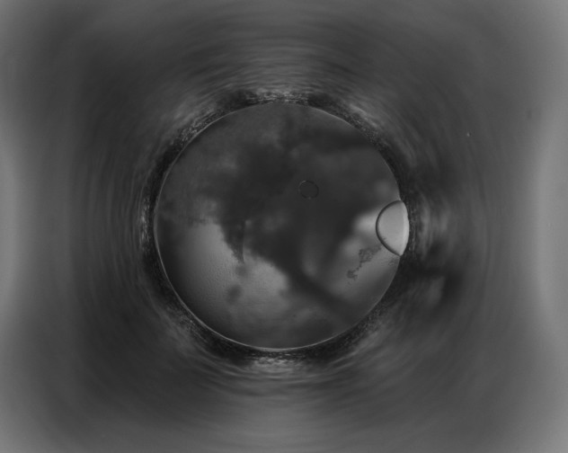 X0000086880699200704161221