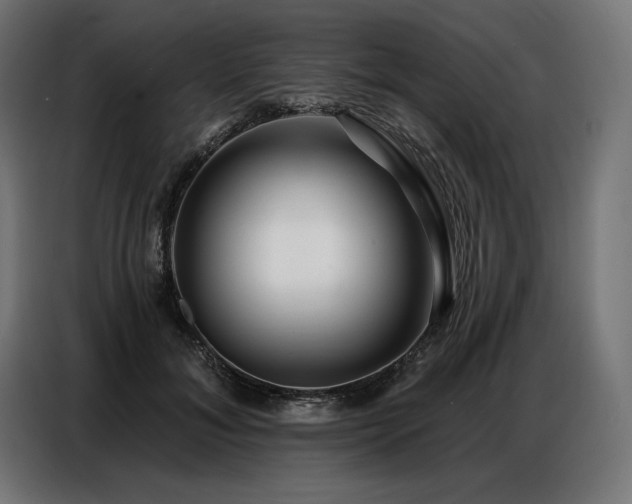 X0000086880700200704161221