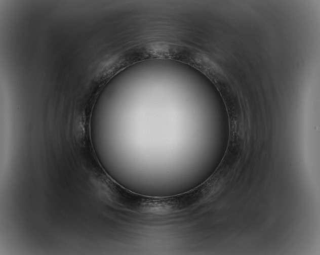 X0000086880702200704161221