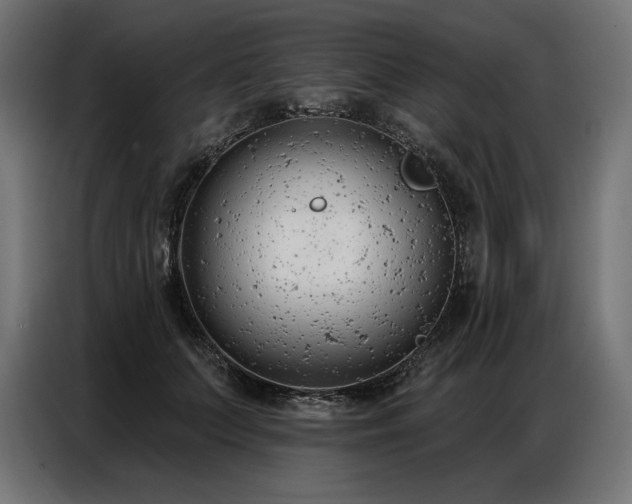 X0000086880703200704161221