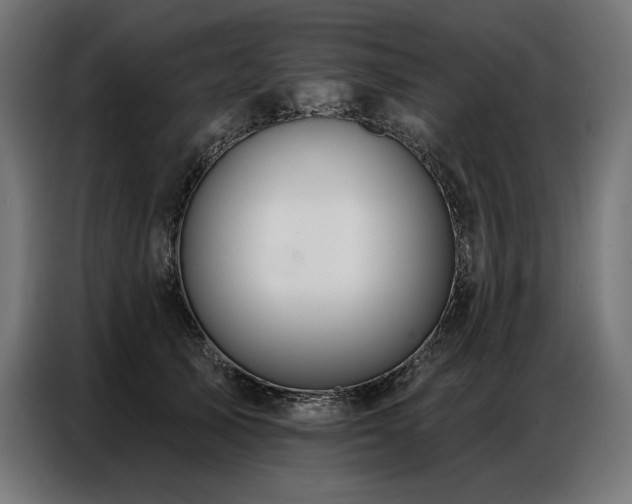 X0000086880705200704161221