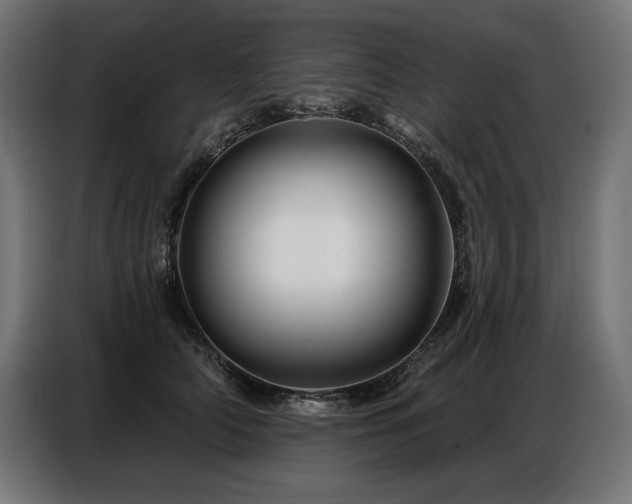 X0000086880706200704161221