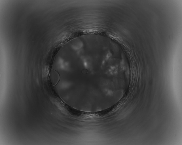 X0000086880711200704161221