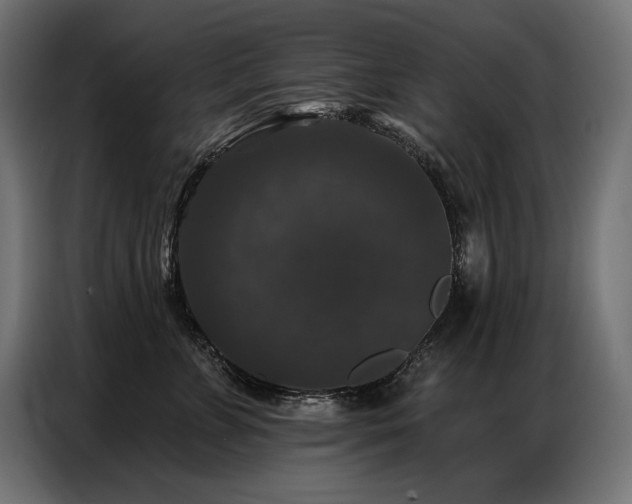 X0000086880715200704161221