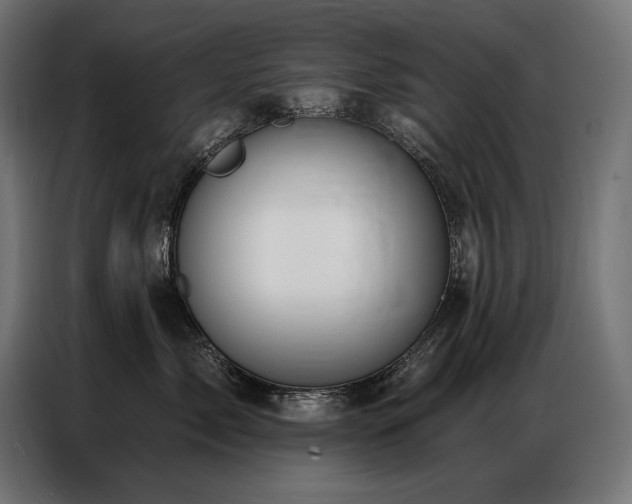 X0000086880717200704161221