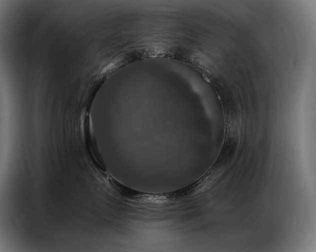 X0000086880719200704161221