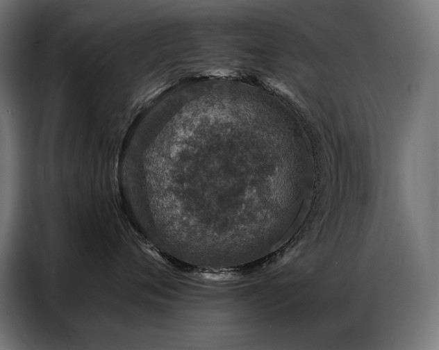 X0000086880720200704161221