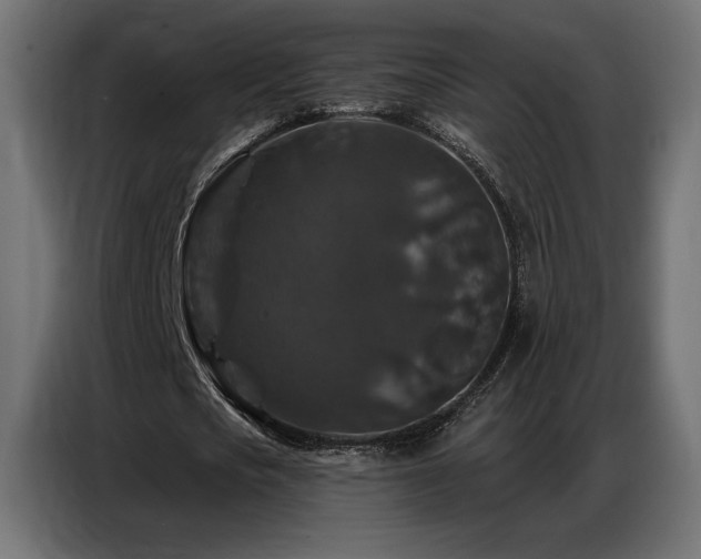 X0000086880721200704161220