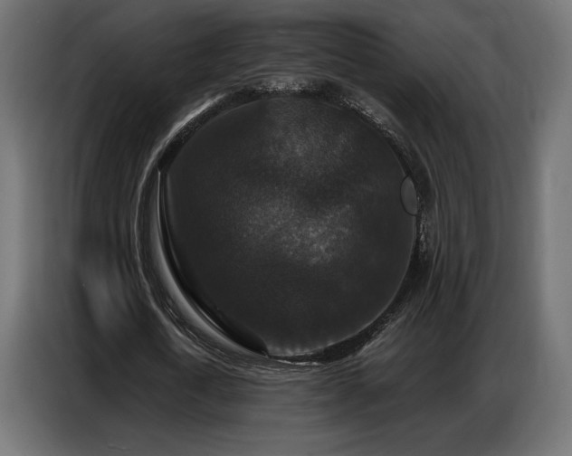 X0000086880722200704161220