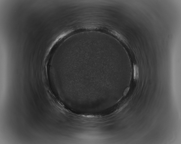 X0000086880723200704161220