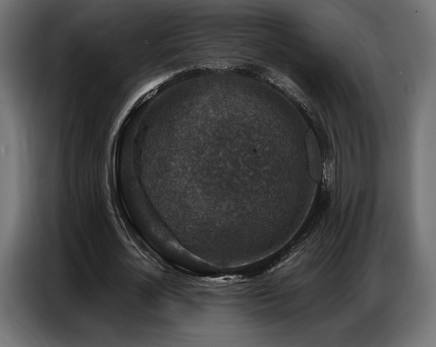 X0000086880724200704161220