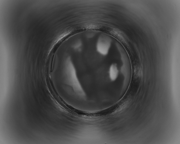 X0000086880725200704161220