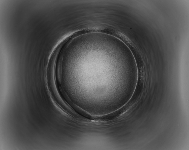 X0000086880726200704161220