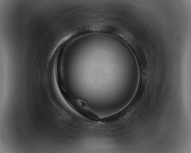 X0000086880727200704161220