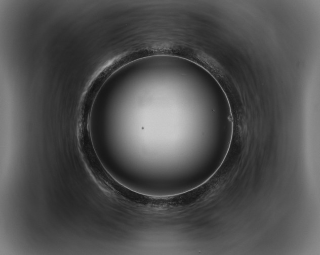 X0000086880728200704161220