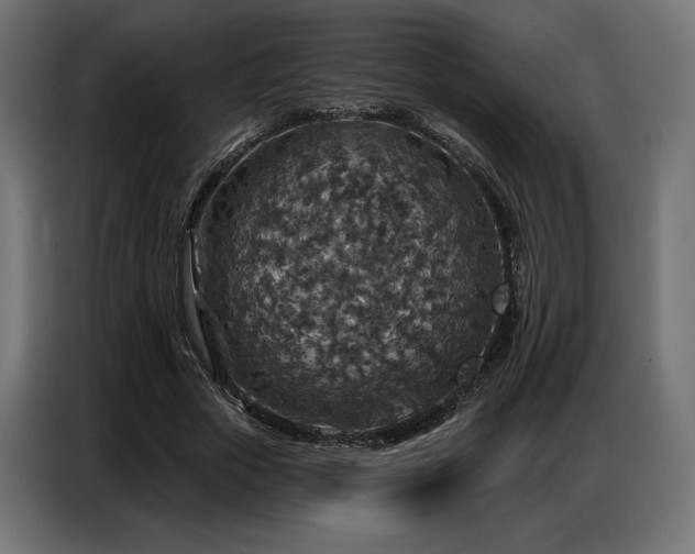 X0000086880729200704161220