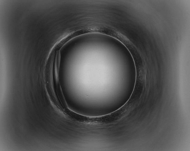 X0000086880730200704161220