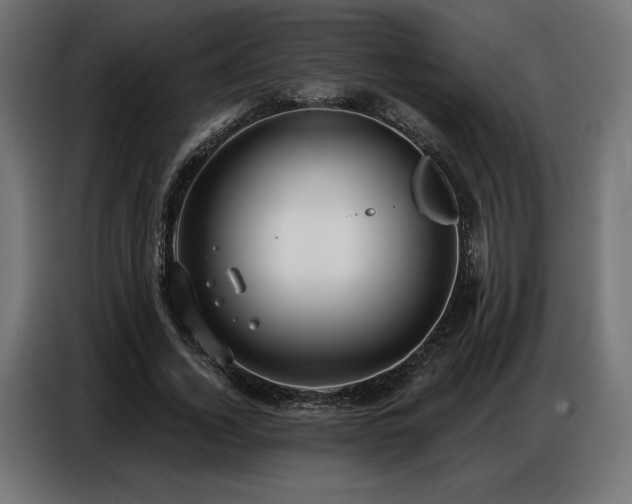 X0000086880732200704161220