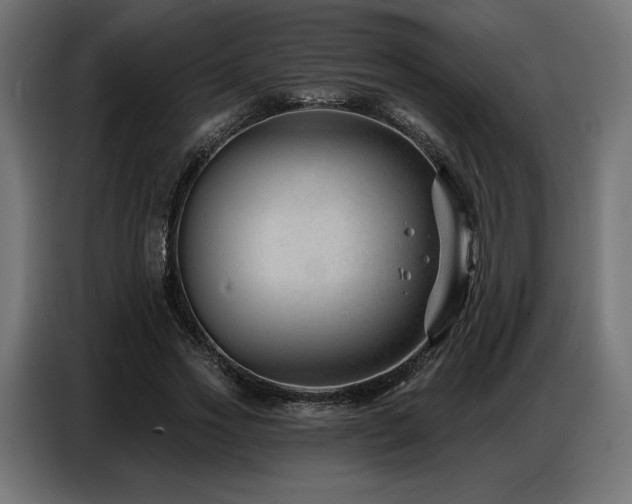 X0000086880733200704161220