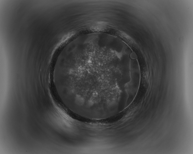 X0000086880734200704161220