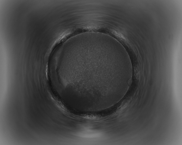 X0000086880735200704161220