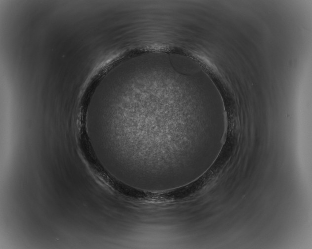 X0000086880736200704161220