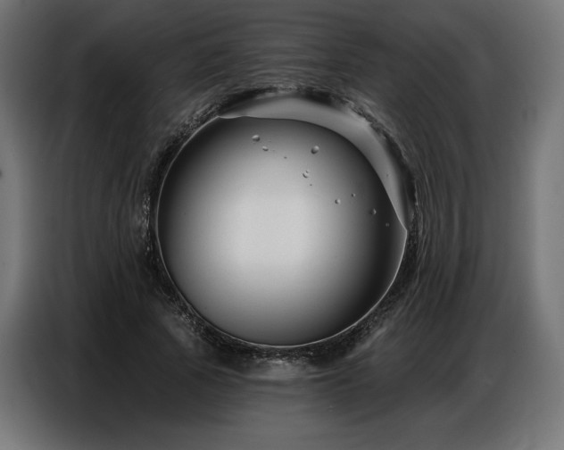 X0000086880737200704161220