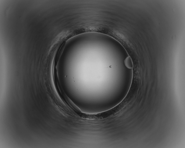 X0000086880738200704161220