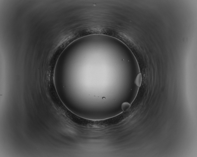 X0000086880739200704161220