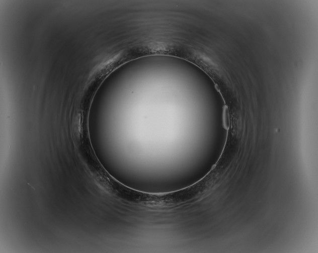 X0000086880740200704161220