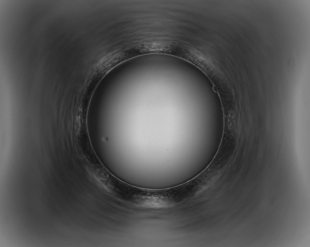 X0000086880741200704161220