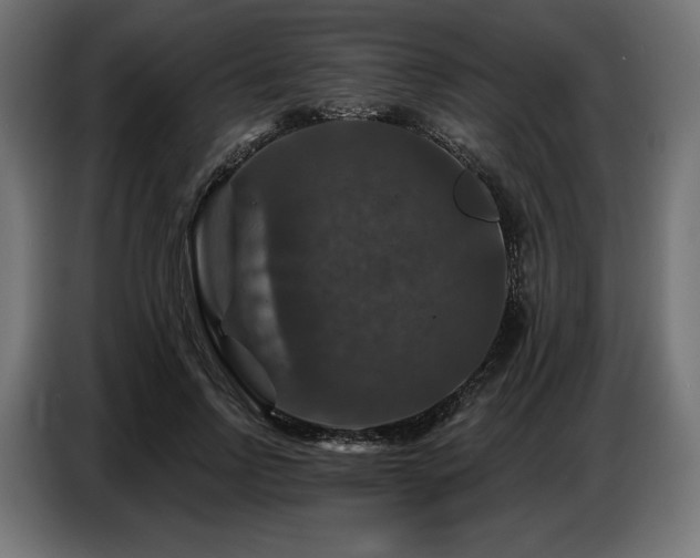 X0000086880742200704161220