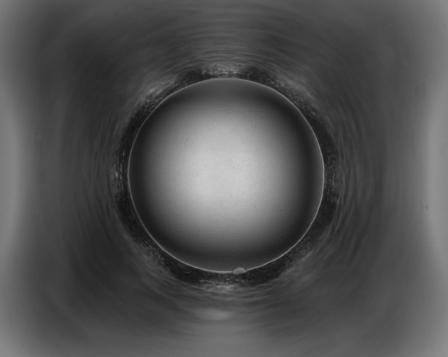 X0000086880743200704161220