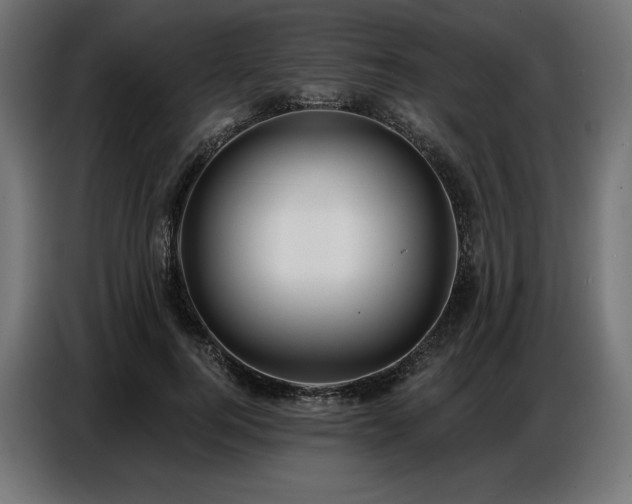 X0000086880744200704161220